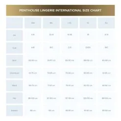 Penthouse Double Spice Lingerie Set 5 Penthouse Double Spice Lingerie Set -Verzorging Winkel Penthouse Double Spice Lingerie Set 3