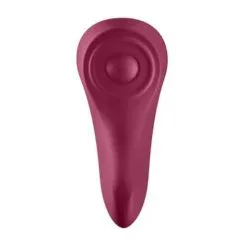 Satisfyer Sexy Secret Panty Vibrator Met App -Verzorging Winkel Satisfyer Sexy Secret Panty Vibrator met App 6
