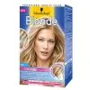 Schwarzkopf Blonde Coup De Soleil Highlights M2 Light