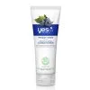 Yes To Blueberries Conditioner For Frizzie Hair